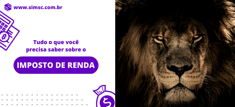 Tudo o que você precisa saber sobre o imposto de renda.